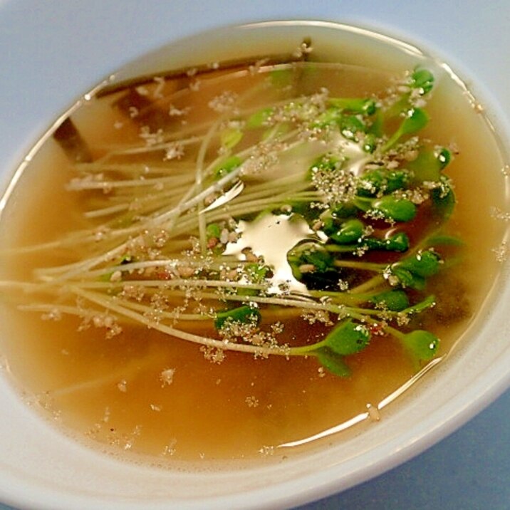 貝だしで　刻み昆布とかいわれ大根の胡麻香るお味噌汁